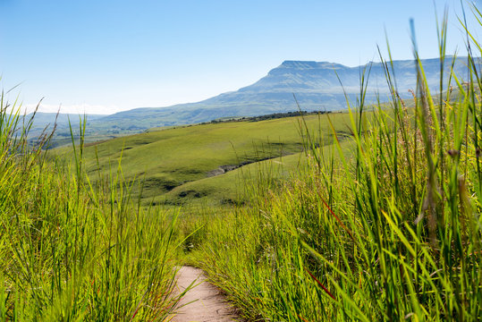 S&uuml;dafrika, KwaZulu-Natal, Giants Castle Game Reserve, Auf Wanderung beim Cathedral Peak in den Drakensbergen, Pfad durch eine gr&uuml;ne Landschaft in den Drakensbergen