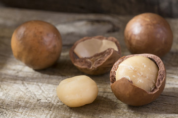 Macadamia nuts - Macadamia integrifolia