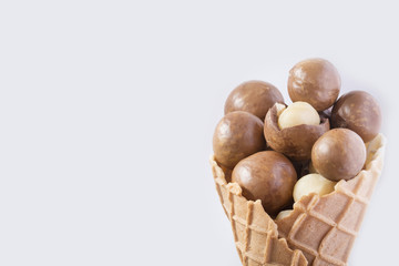 Macadamia nuts - Macadamia integrifolia