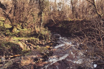 flow