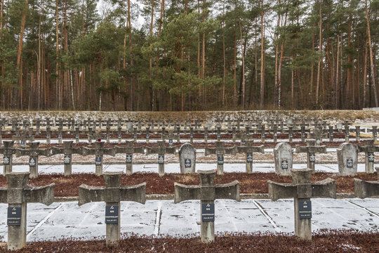 Grave crosses of the cemetery in Palmiry, place of executions by Nazi Germans during WWII Warsaw.. 24 mass graves were found here. approximately 2204 people are buried there
