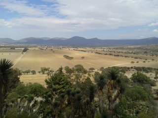 Mirando al rededor