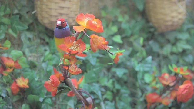 A colorful bird perches on a branch with beautiful orange blossoms and greenery with woven baskets in the background.