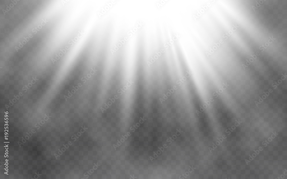 Canvas Prints light effect and smoke on transparent background. abstract bright lighting. creative light concept. 