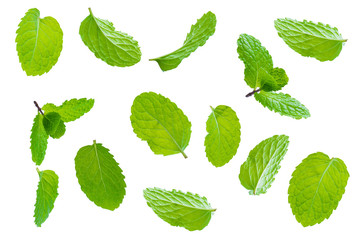 Fly fresh raw mint leaves isolated on white
