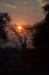 The African sunset. Zambia
