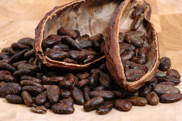 Cocoa pod