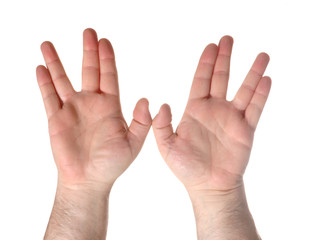 hand position for the kohanic blessing