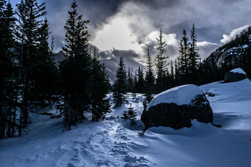 Snowy Sunrise in Colorado