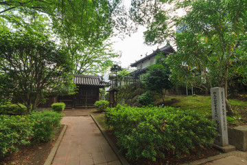 Fototapeta na wymiar 夏の高崎城の風景