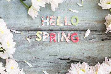 Bonjour le Printemps, Hello Spring © asab974