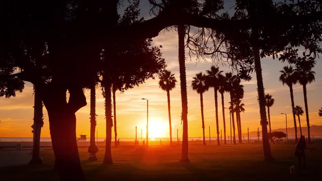 Palm trees at sunset on ocean beach Santa Monica California Timelapse hyperlapse