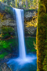 Fototapeta premium Silver Falls St Pk, OR
