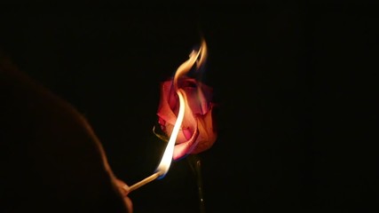 2330 Rose being Lit on Fire in Slow Motion - Powered by Adobe
