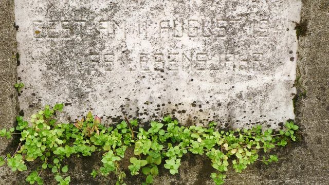 Close-up of inscription on the gravestone in the old Jewish cemetery.