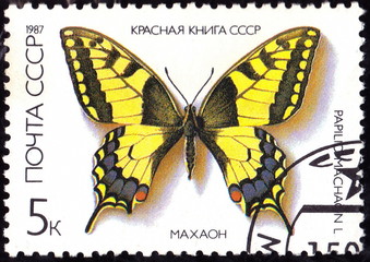 USSR - CIRCA 1987: A stamp shows a butterfly with the inscription "Papilio Machaon", circa 1987