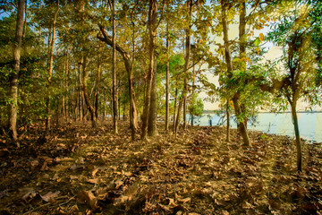 Sunrise - Dawn, Lake, Dawn, Sun, Riverbank