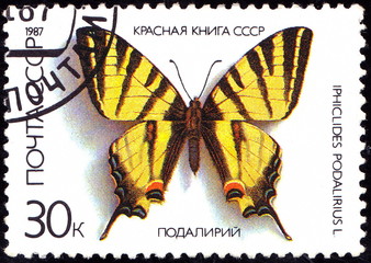 USSR - CIRCA 1987: A stamp printed in the USSR shows a Butterfly - "Iphiclides podalirius", circa 1987