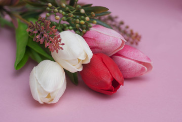 Spring Tulip Flower Bouquet on the Corner of Image. Pink Background. Easter or Women and Greeting Background.