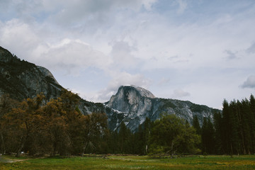 Yosemite landscape and monutains