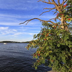 Sea shore in town of Vaxholm on the Vaxholm island - within the Stockholm region, Sweden
