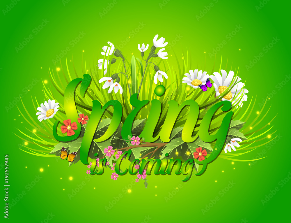 Wall mural Floral spring background with text letter ornament beautiful calligraphy flower poster vector illustration. - Wall murals