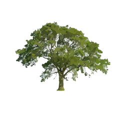 Vector Illustration of Tree