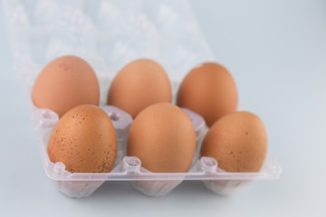 whole eggs of organic farming