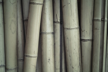 Dry bamboo stalks for background. Closeup, toned