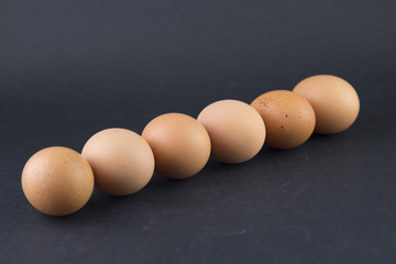 whole eggs of organic farming