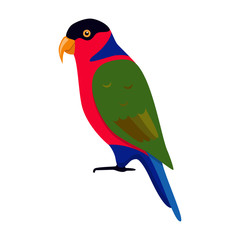 Lory parrot icon in flat style