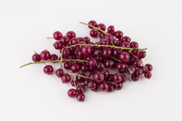 ribes rosso di sottobosco biologico per bevande e diete