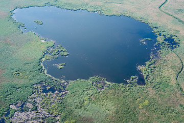Aerial Aerial View Over White Pelicans Colony
