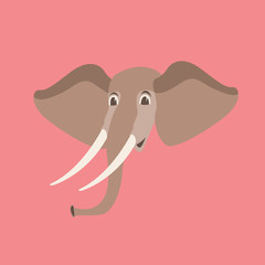 cartoon elephant head  vector illustration flat style front