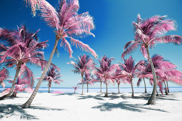 Palm trees on idyllic paradise beach in infrared colors