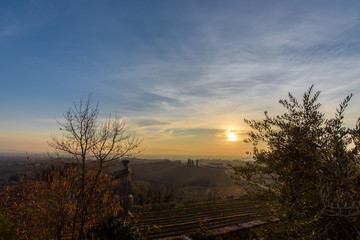 A vineyard called Friuli. Rosazzo at sunset.