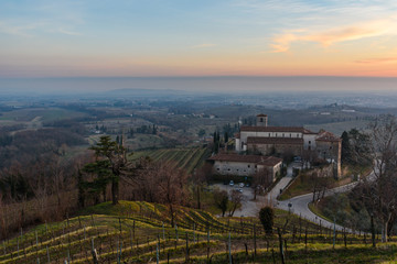 A vineyard called Friuli. Rosazzo at sunset.