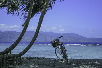 Bike under th palm on the beach
