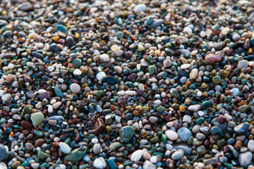 multi-colored pebbles on the beach, washed by waves