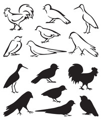 silhouette birds sitting