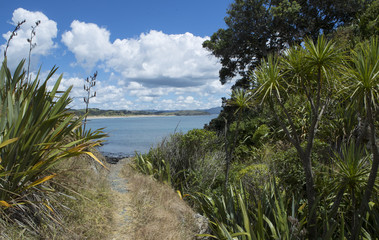 Tawharanui Regional Park New Zealand. Bay. Coast