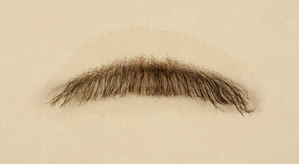 Artificial Mustache for Film and Theater Production - 192571532