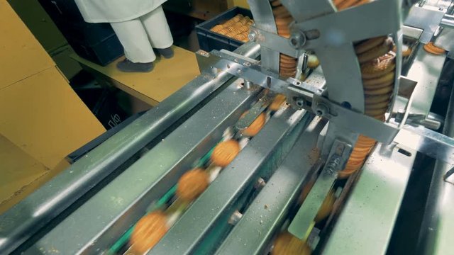 Biscuits are getting completed by a working factory machine