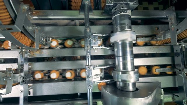 Top view of cookies being made by a working conveyor machine