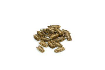  calabash seed isolate on white background