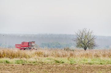 Harvester machine to harvest wheat field working