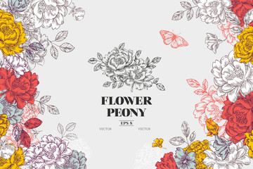 Vintage peony flower background. Flower © Maria
