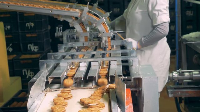 Finished biscuits falling from the conveyor while a person is controlling the process