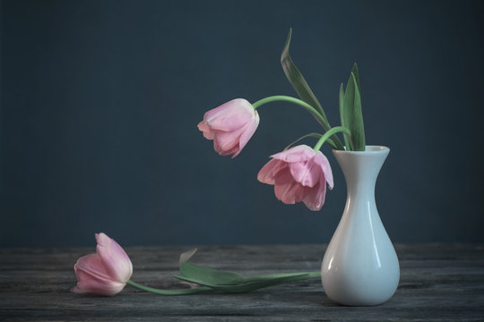 pink tulips in white vase