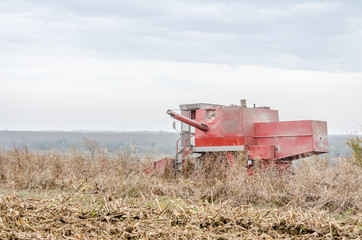 Fototapeta na wymiar Harvester machine to harvest wheat field working